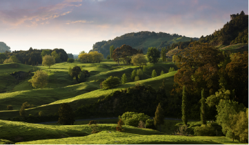 Audit-services-primary-industry-consultancy Audit-services-primary-industry-consultancy