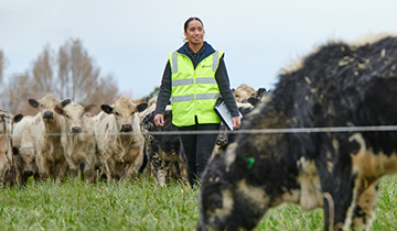 Audit-services-auditor-on-farm Audit-services-auditor-on-farm