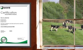 Audit-and-verification-services-certificates-of-conformance Audit-and-verification-services-certificates-of-conformance