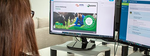 small-banners-online-training-560x188