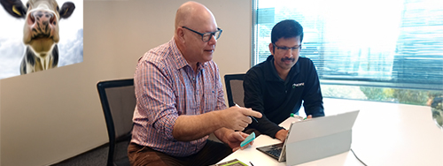 qconz-training-training-programme-design qconz-training-training-programme-design