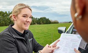 Audit-and-verification-services-staff-training Audit-and-verification-services-staff-training